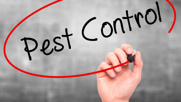 Pest control